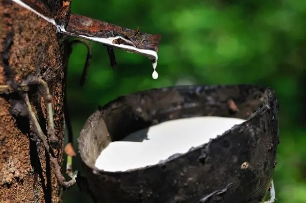 Latex Natural rubber HA 60% DRC liquid latex raw material barrel - Image 3