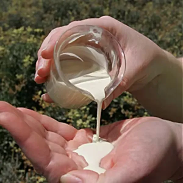 Latex Natural rubber HA 60% DRC liquid latex raw material barrel - Image 4