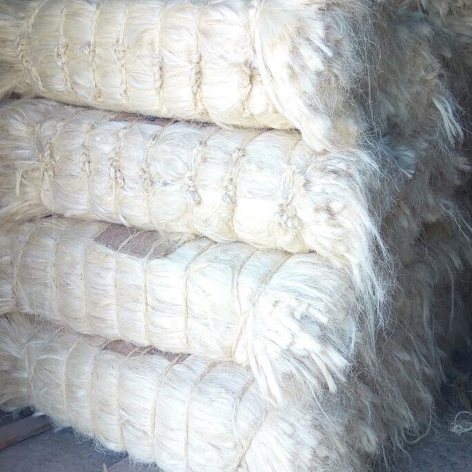 Sisal Fiber Ug Grade - Image 3