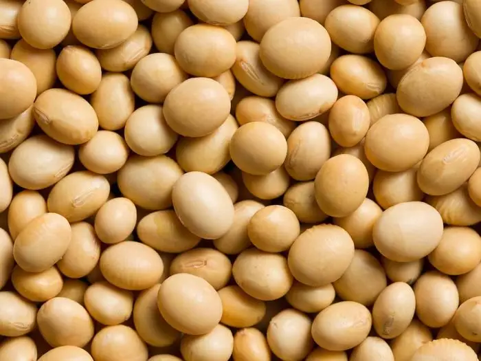 Soya Beans/Soybeans - Image 2