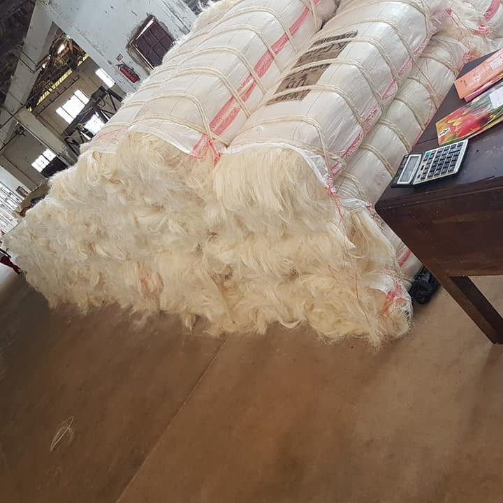 Sisal Fiber Ug Grade - Image 5
