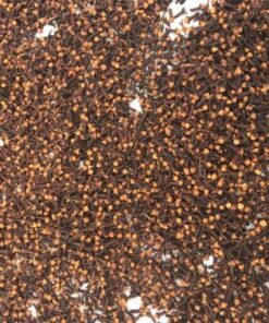 Alternative view of Cloves
