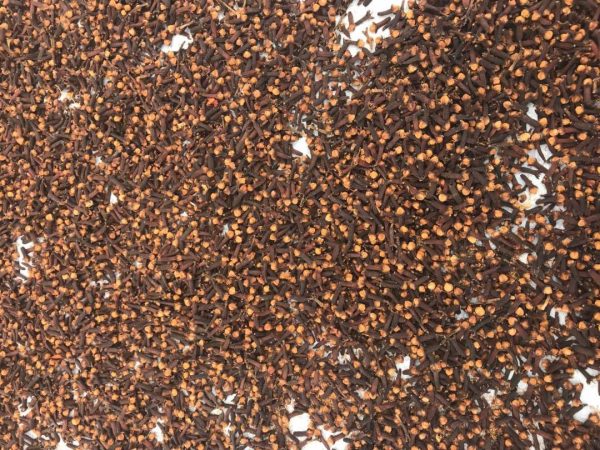 Cloves - Image 2