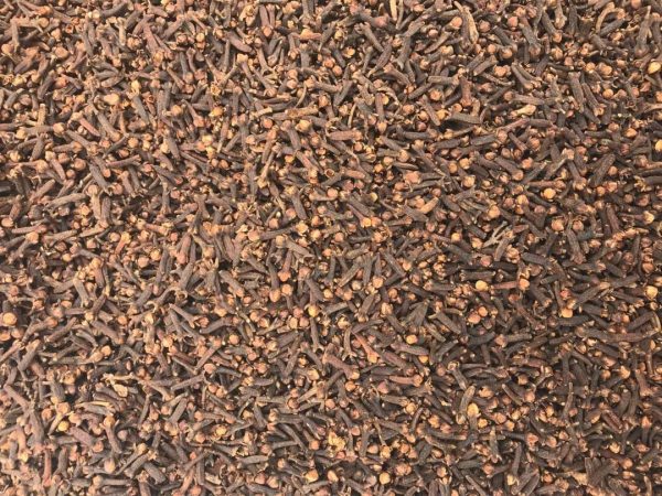 Cloves - Image 3