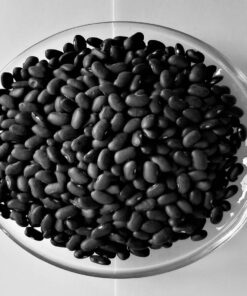 BLACK KIDNEY BEANS