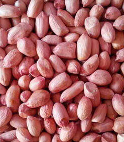 PEANUT