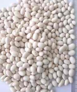 WHITE PEA BEANS