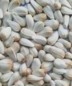 SUNFLOWER SEED
