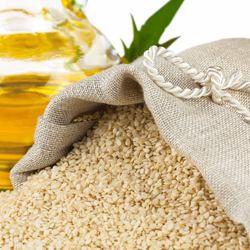 SESAME SEED OIL (RAW) – Sesamum indicum – 100% Pure Cold-Pressed