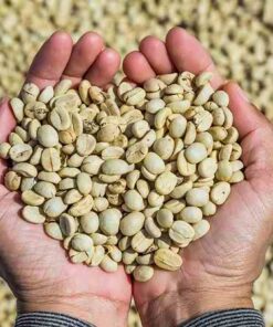 YIRGACHEFFE WASHED COFFEE